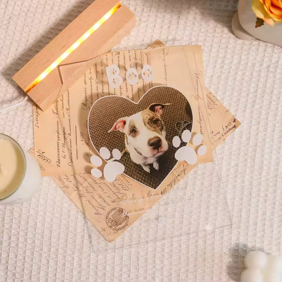 EternalPaws®
